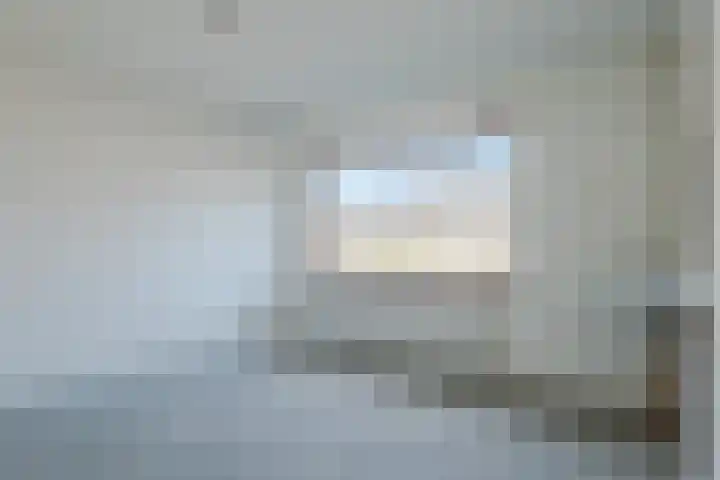 't Zuden 27 Leek thumbnail 18