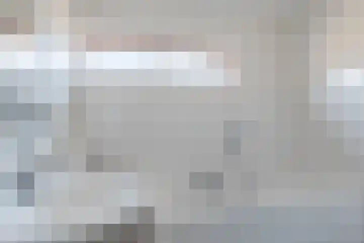 't Zuden 27 Leek thumbnail 19