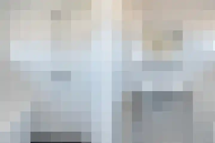 't Zuden 27 Leek thumbnail 20