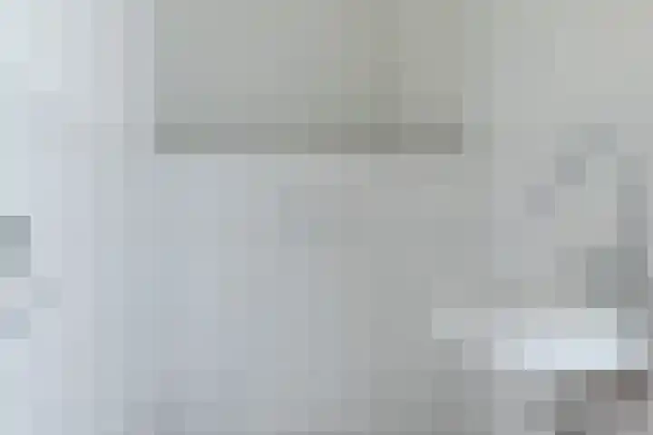't Zuden 27 Leek thumbnail 21
