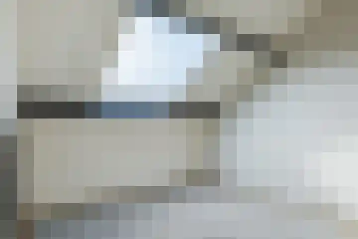 't Zuden 27 Leek thumbnail 22