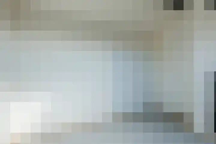 't Zuden 27 Leek thumbnail 23