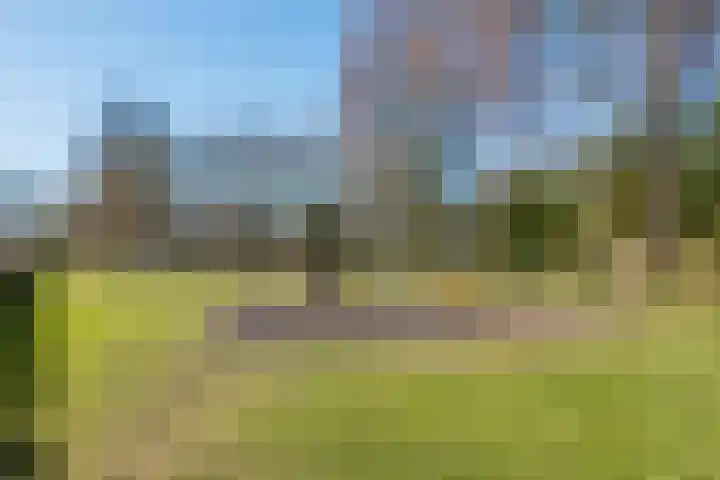 't Zuden 27 Leek thumbnail 24