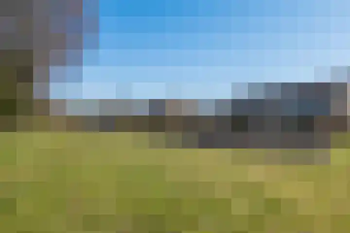 't Zuden 27 Leek thumbnail 25