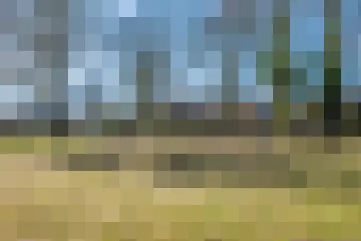 't Zuden 27 Leek thumbnail 26