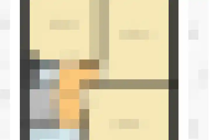 't Zuden 27 Leek thumbnail 28