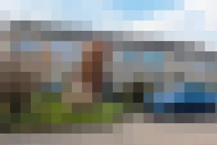 't Zuden 27 Leek thumbnail 30