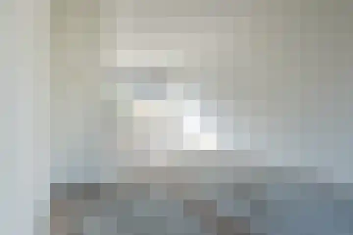 't Zuden 27 Leek thumbnail 5