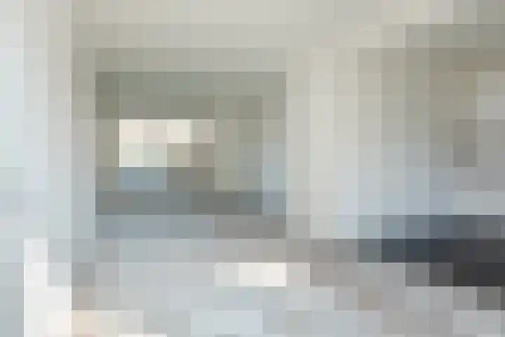 't Zuden 27 Leek thumbnail 6