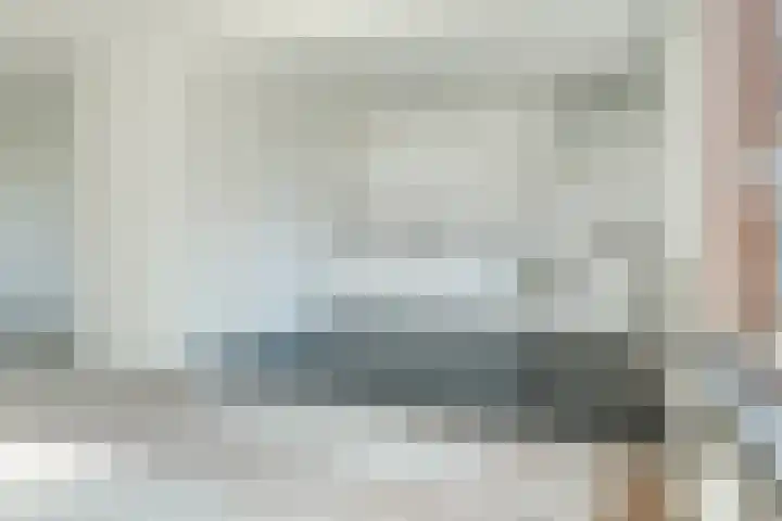 't Zuden 27 Leek thumbnail 7