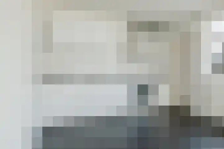't Zuden 27 Leek thumbnail 8