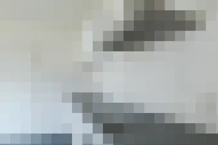 't Zuden 27 Leek thumbnail 9