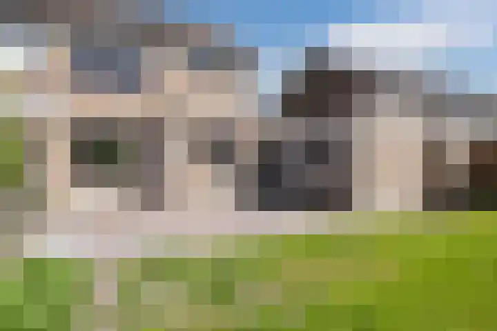 't Zuden 37 Leek thumbnail 10