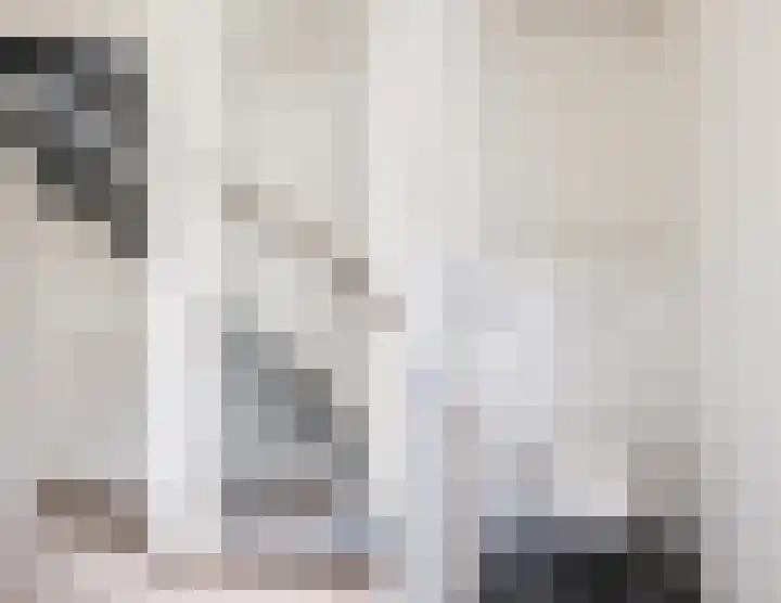 't Zuden 37 Leek thumbnail 14
