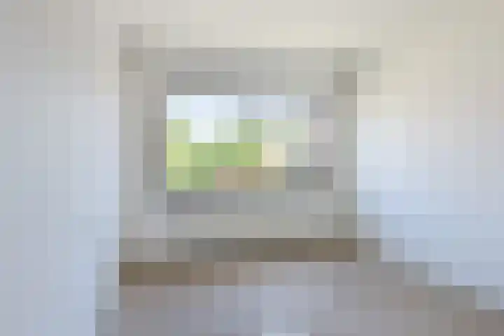 't Zuden 37 Leek thumbnail 15