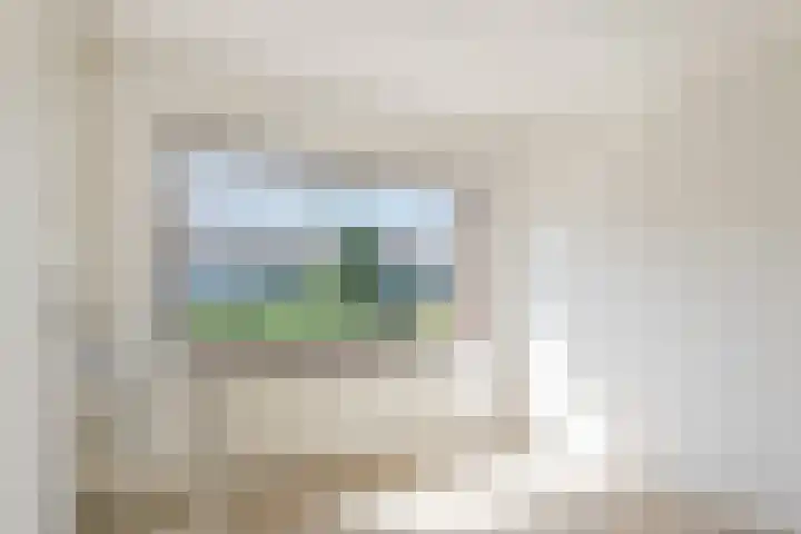 't Zuden 37 Leek thumbnail 17
