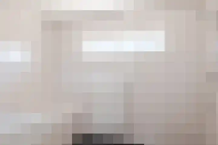 't Zuden 37 Leek thumbnail 18