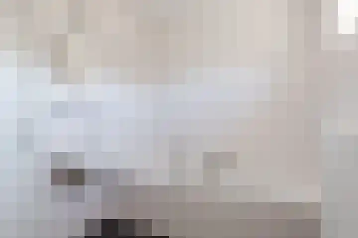 't Zuden 37 Leek thumbnail 20