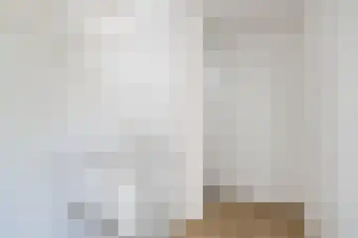 't Zuden 37 Leek thumbnail 21