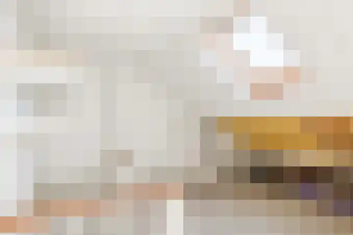 't Zuden 37 Leek thumbnail 22