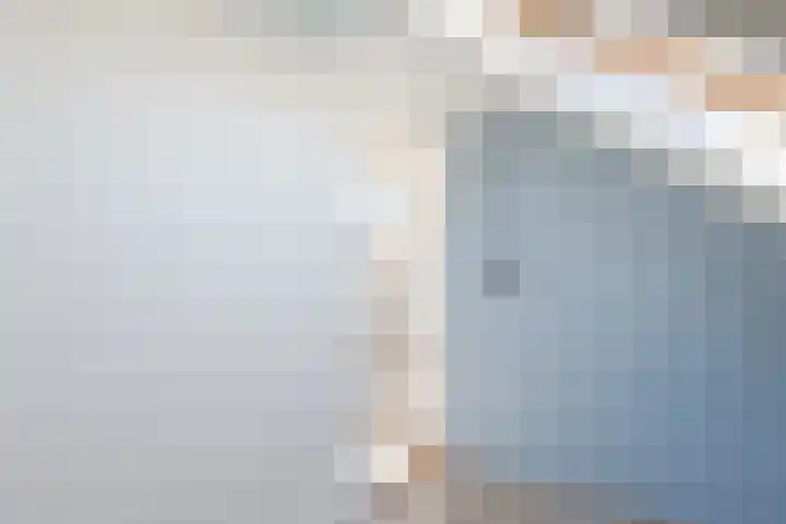 't Zuden 37 Leek thumbnail 25