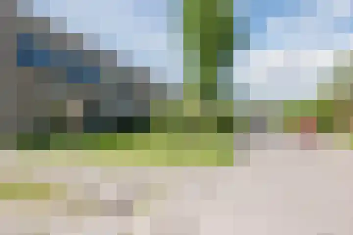 't Zuden 37 Leek thumbnail 27