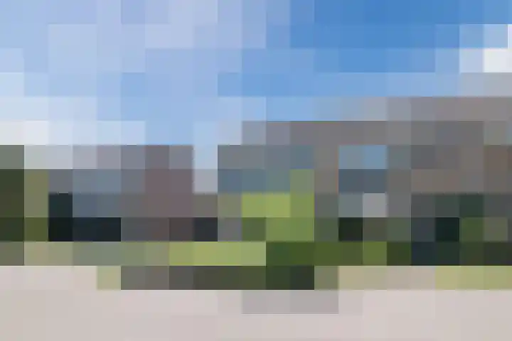 't Zuden 37 Leek thumbnail 29