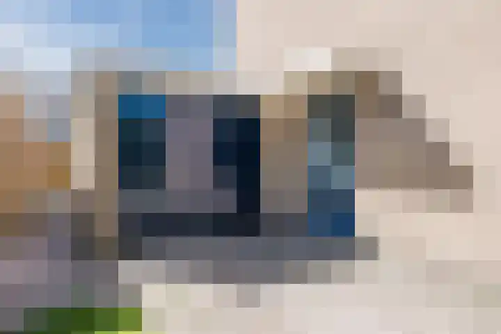 't Zuden 37 Leek thumbnail 4