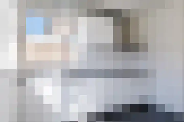 't Zuden 37 Leek thumbnail 7