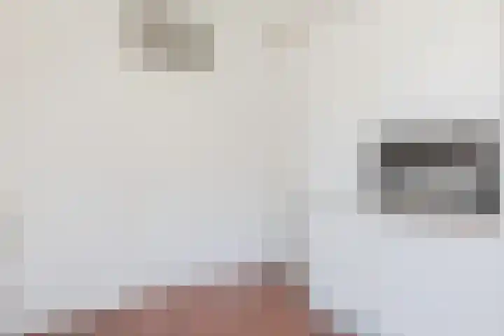 't Zuden 51 Leek thumbnail 10