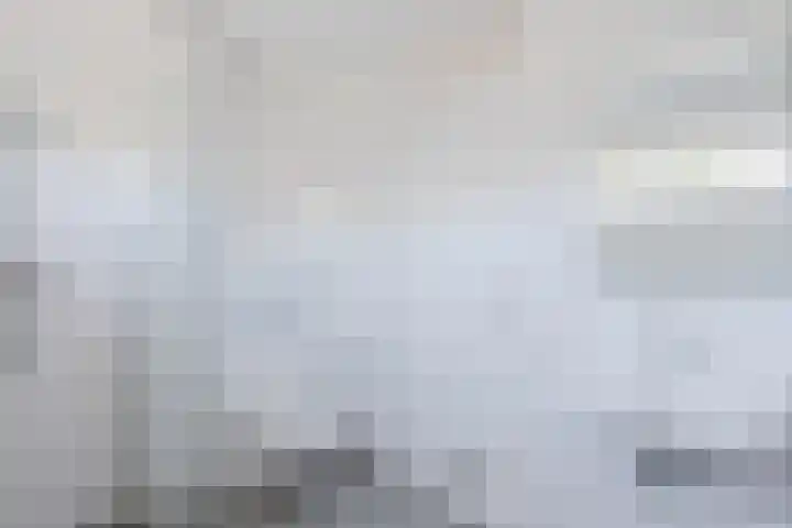 't Zuden 51 Leek thumbnail 12