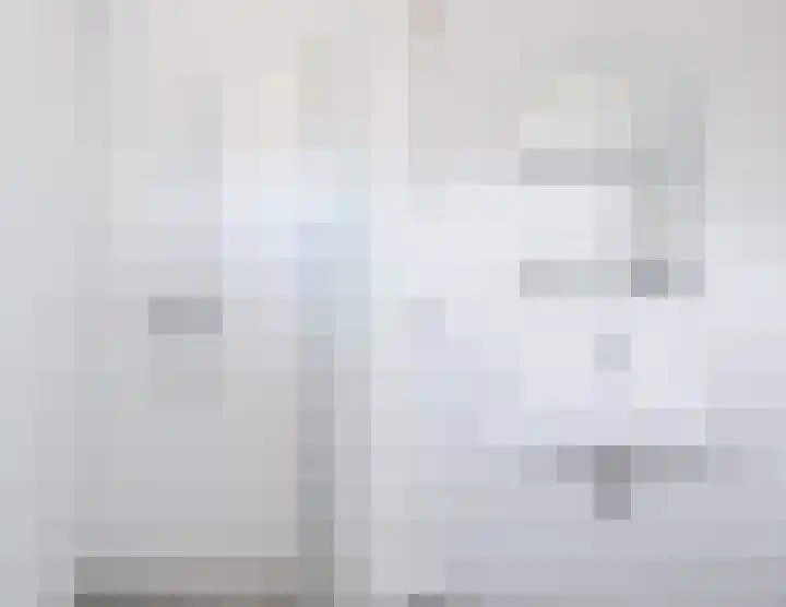 't Zuden 51 Leek thumbnail 13