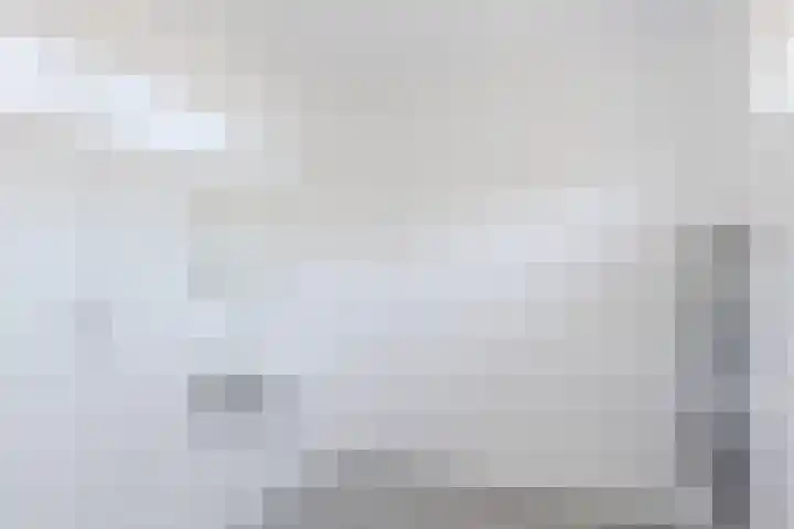 't Zuden 51 Leek thumbnail 14