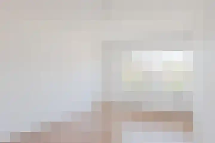 't Zuden 51 Leek thumbnail 16