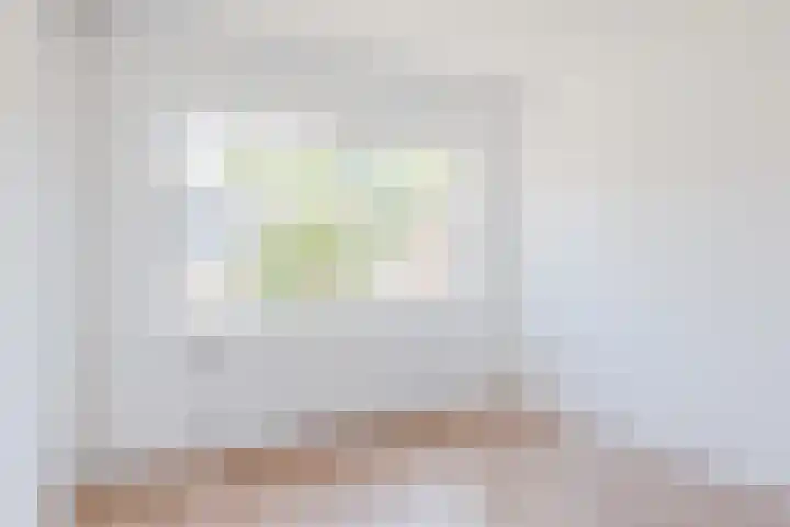 't Zuden 51 Leek thumbnail 17