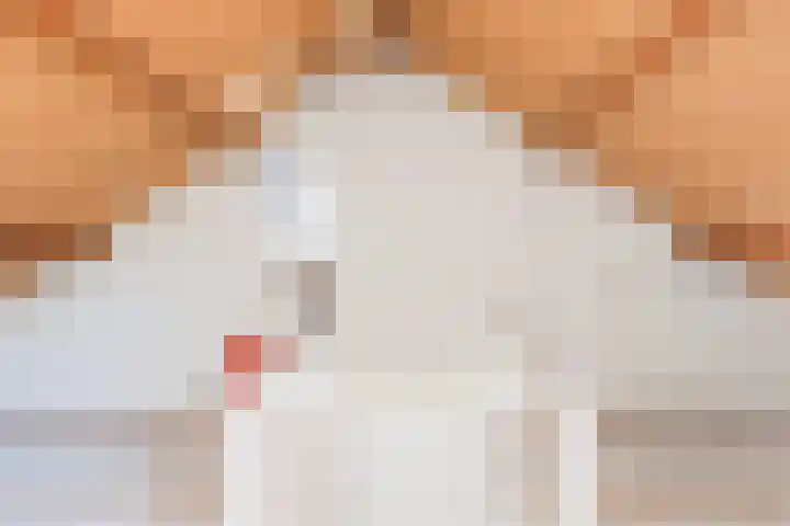 't Zuden 51 Leek thumbnail 18