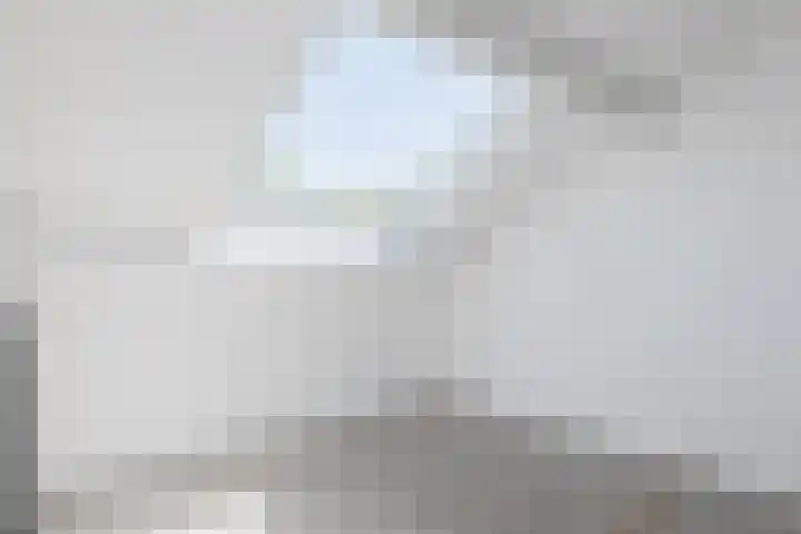 't Zuden 51 Leek thumbnail 20