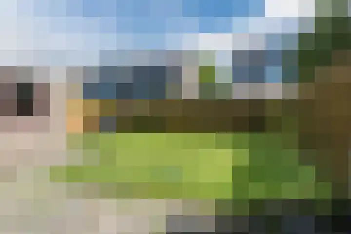 't Zuden 51 Leek thumbnail 21