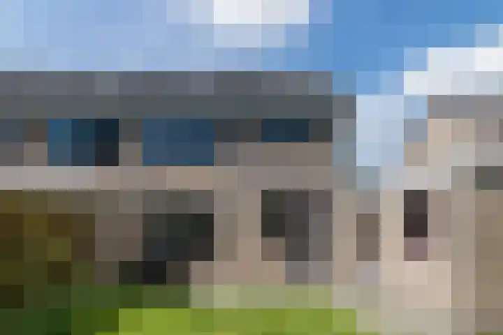 't Zuden 51 Leek thumbnail 22