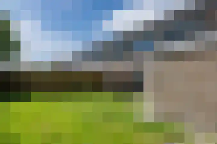 't Zuden 51 Leek thumbnail 23