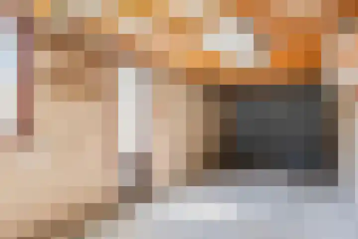 't Zuden 51 Leek thumbnail 24
