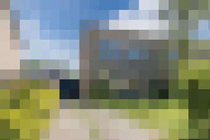 't Zuden 51 Leek thumbnail 30
