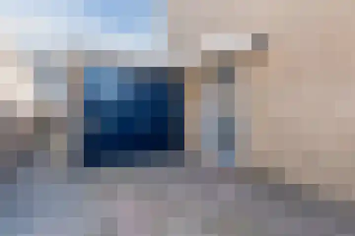 't Zuden 51 Leek thumbnail 4