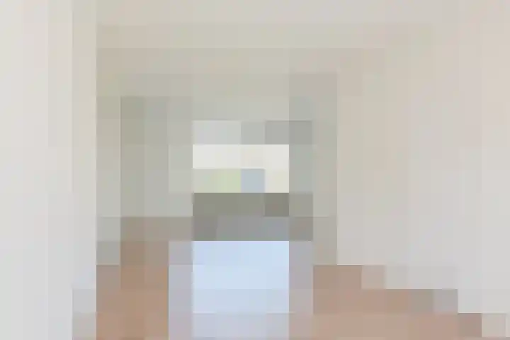 't Zuden 51 Leek thumbnail 6