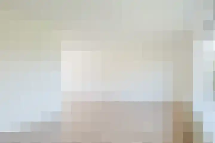 't Zuden 51 Leek thumbnail 7