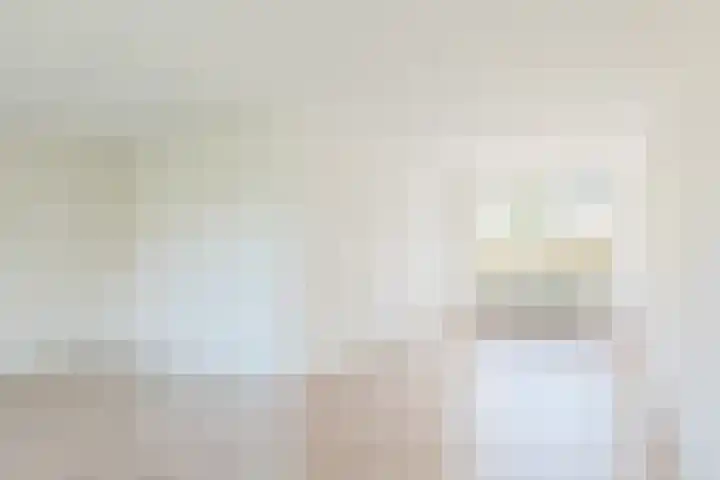 't Zuden 51 Leek thumbnail 8