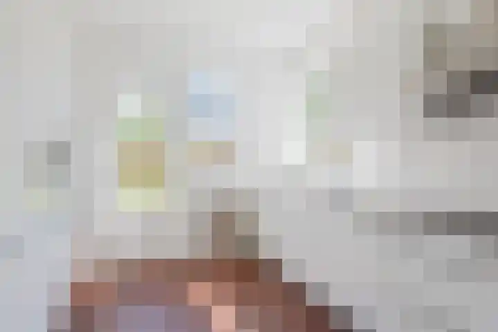 't Zuden 51 Leek thumbnail 9