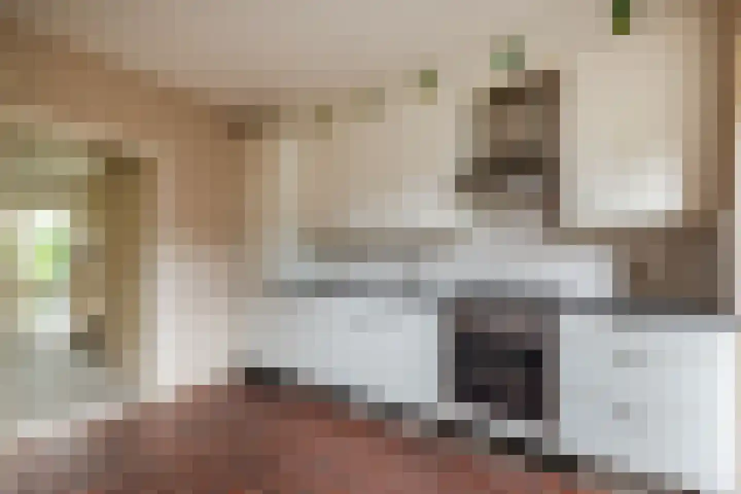 't Zuden 89 Leek thumbnail 10