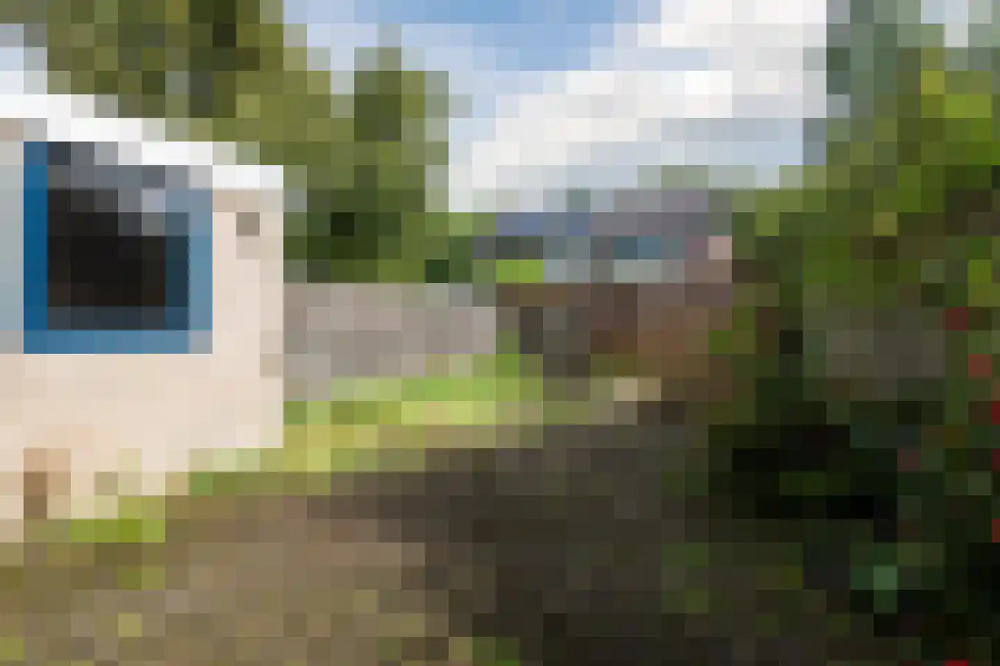 't Zuden 89 Leek thumbnail 11