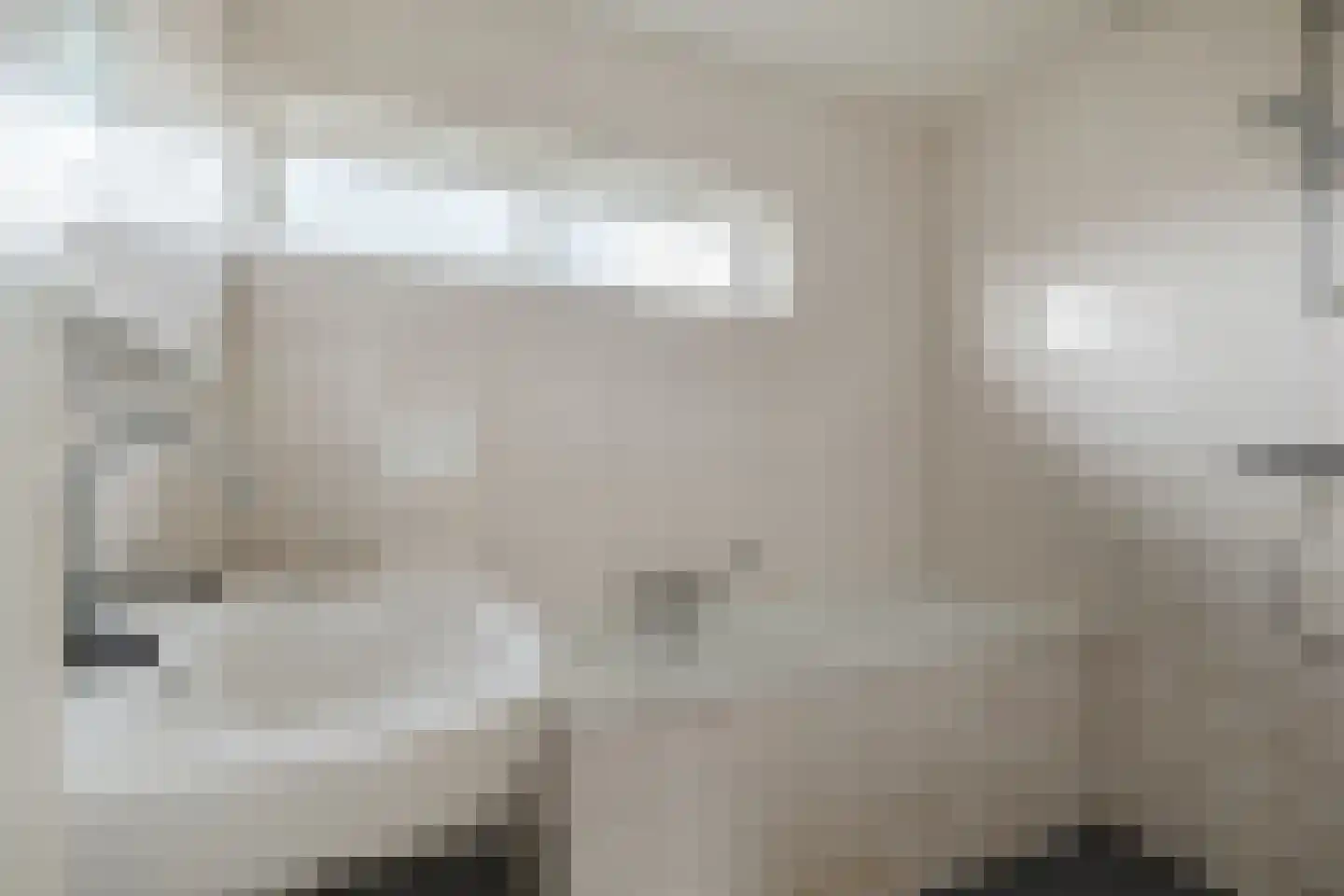 't Zuden 89 Leek thumbnail 20
